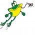 Disinfestazioni e Derattizzazioni Castelli Romani Roma " Frog Service " Disinfestazioni e Derattizzazioni Castelli Romani Roma " Frog Service "