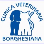 ClinicaBorghesiana003 ClinicaBorghesiana003