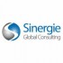 SinergieGlobal01